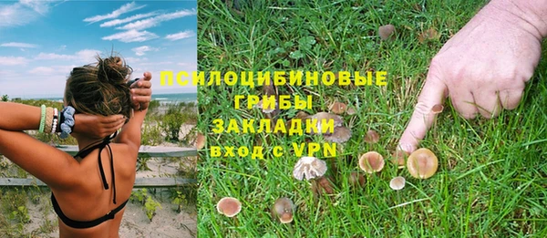 дживик Алзамай